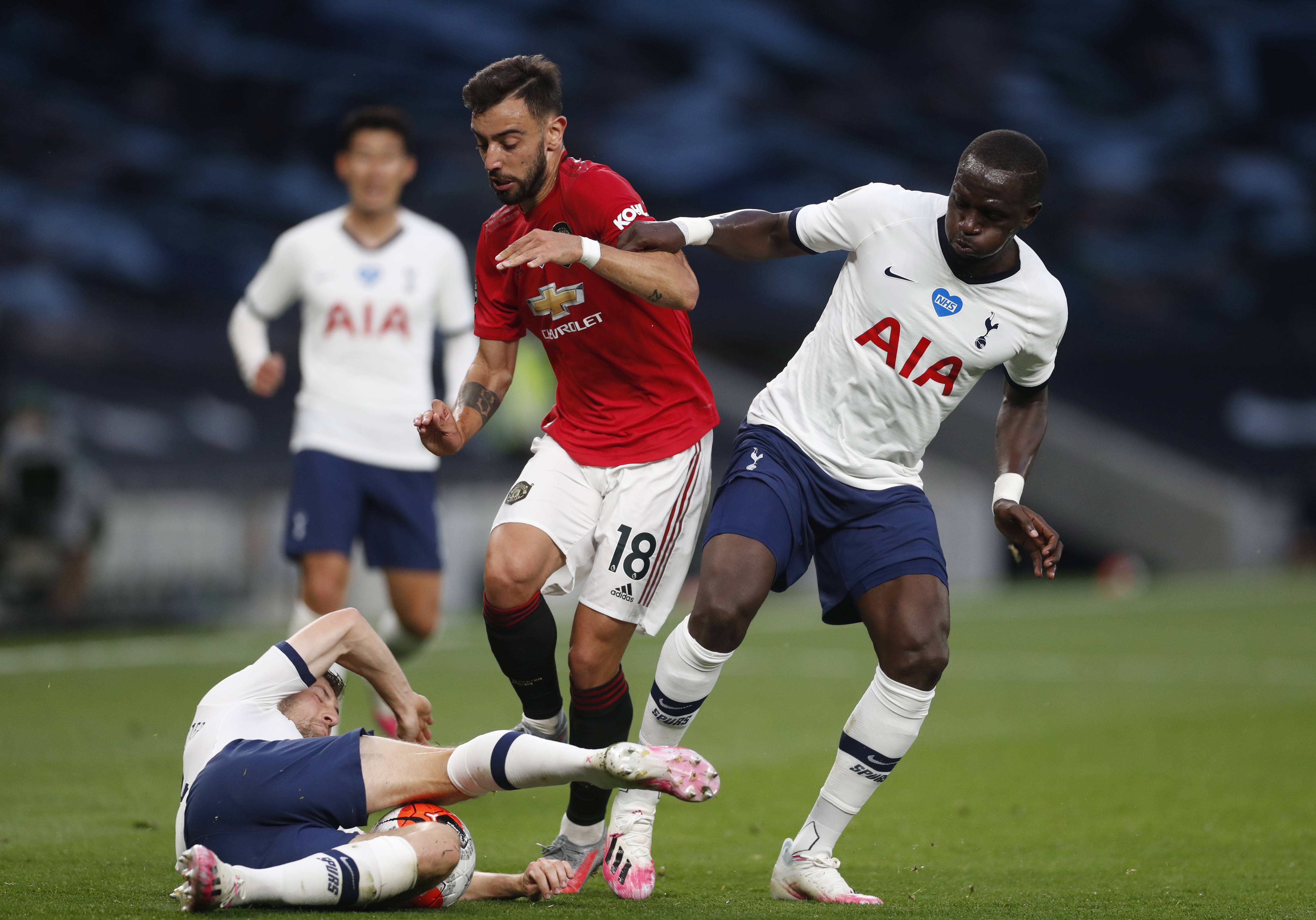 当地生态系 当地生态系